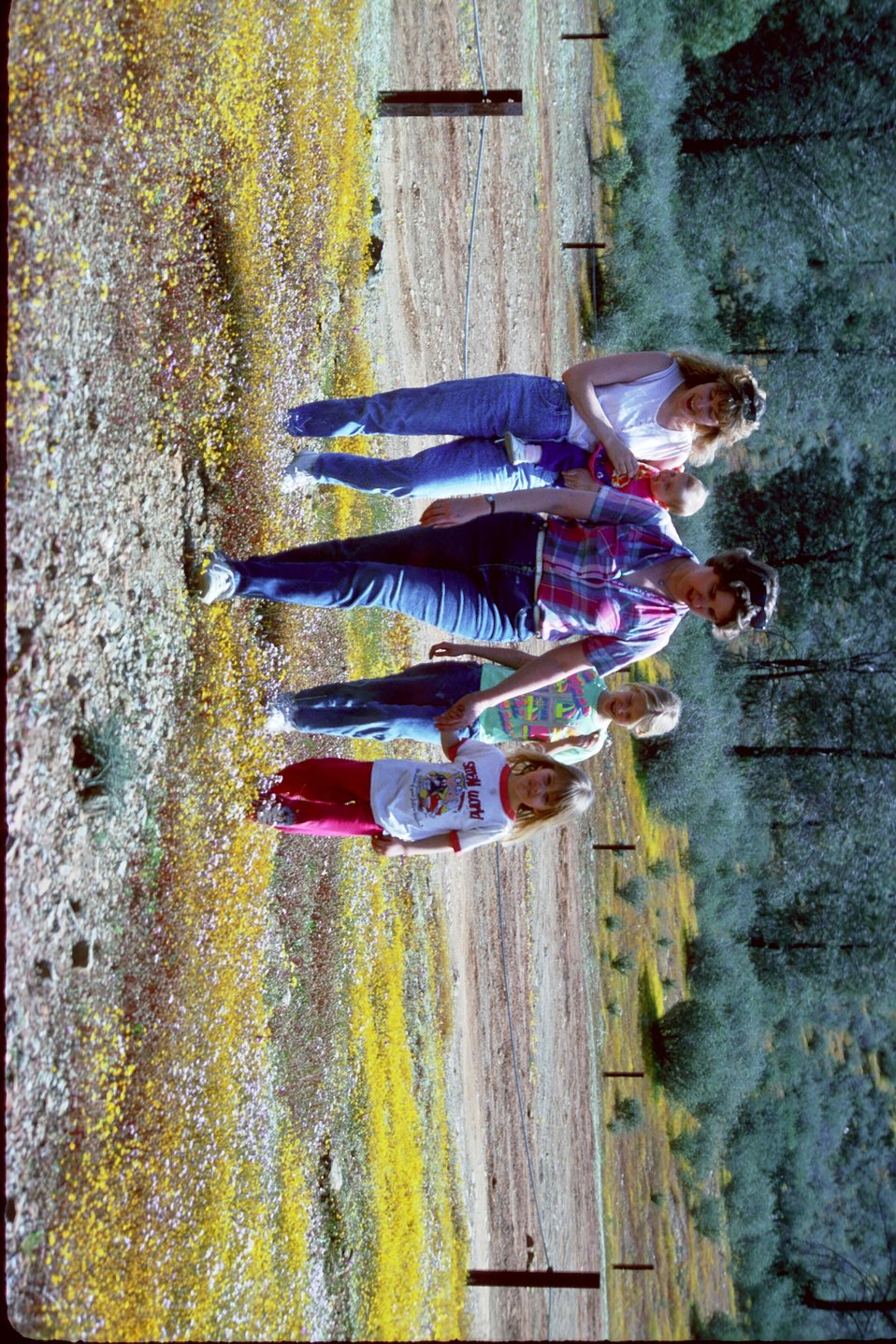 No Image Description Available