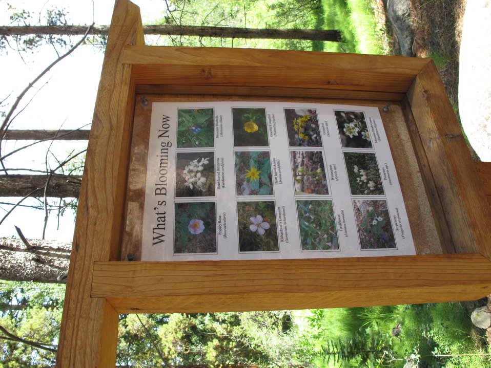 Public Domain Picture Leadville National Fish Hatchery ID