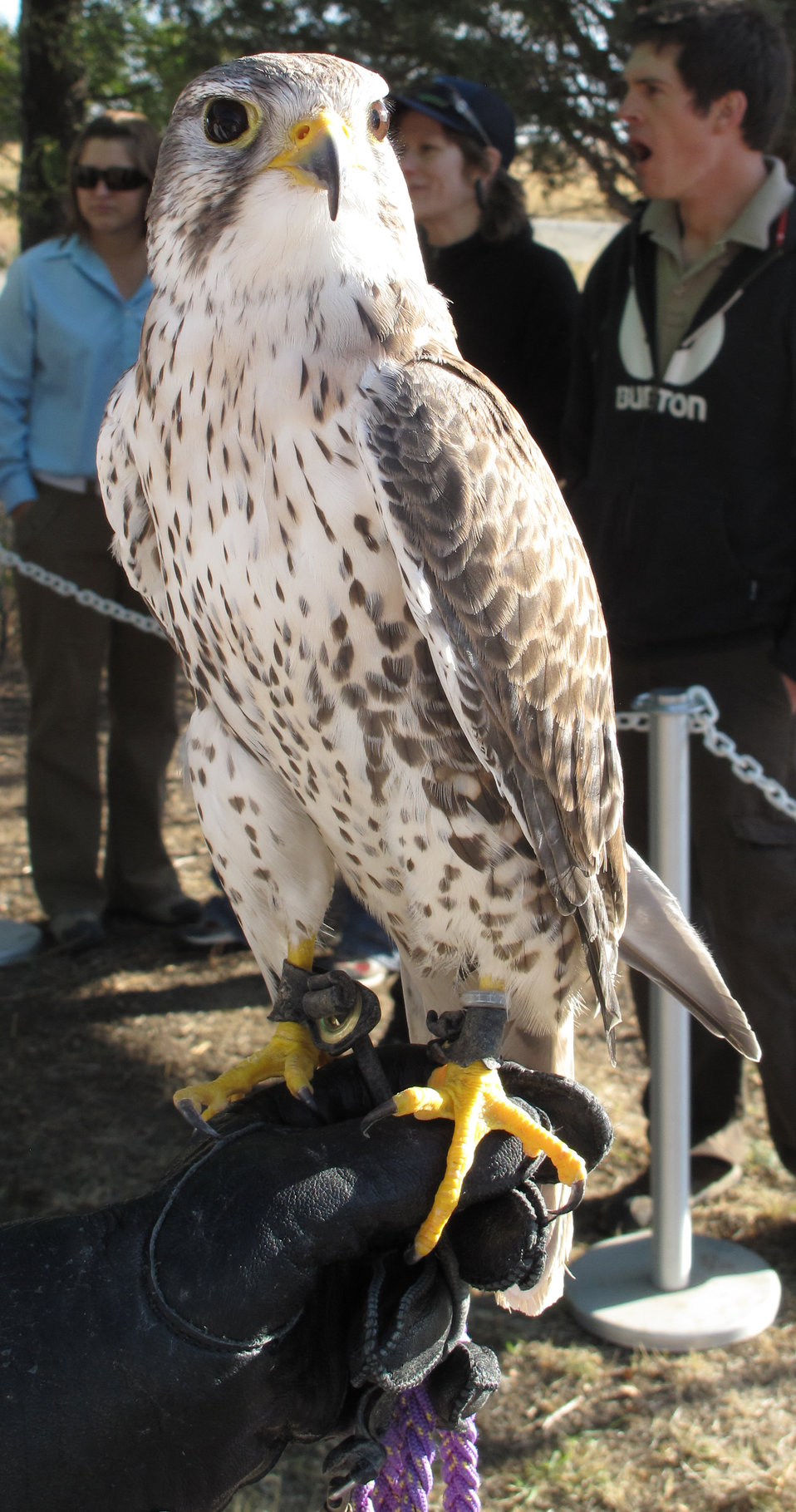 Refuge Round-Up 2010