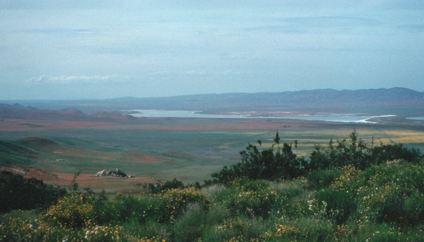 No Image Description Available