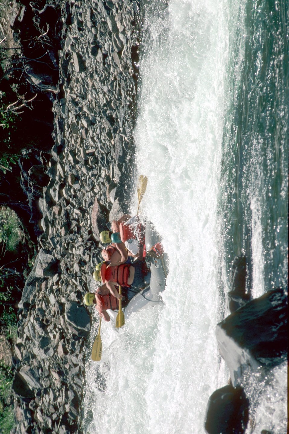 No Image Description Available