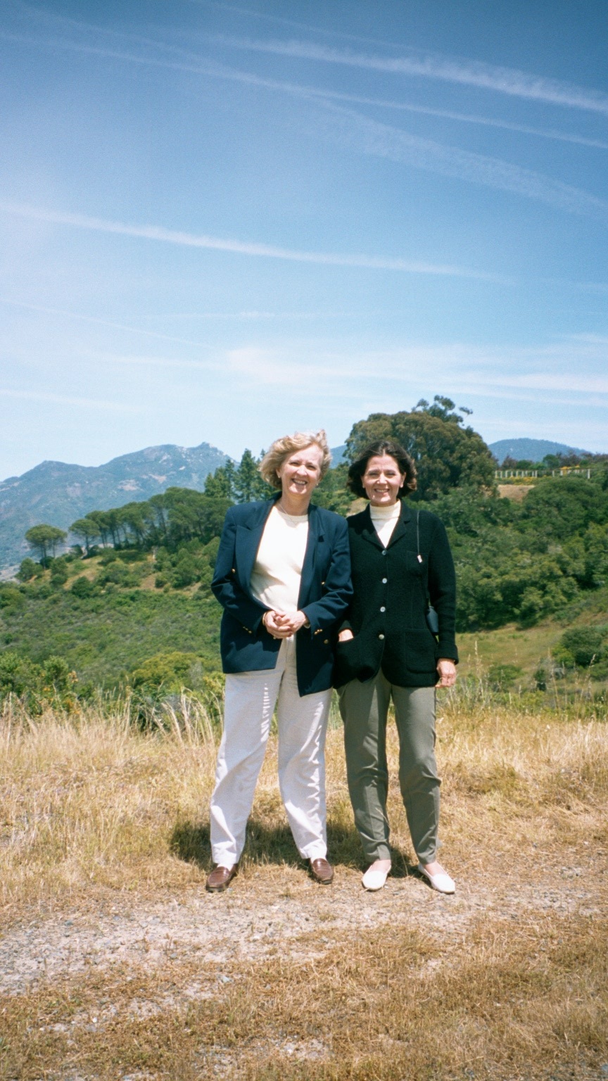 No Image Description Available