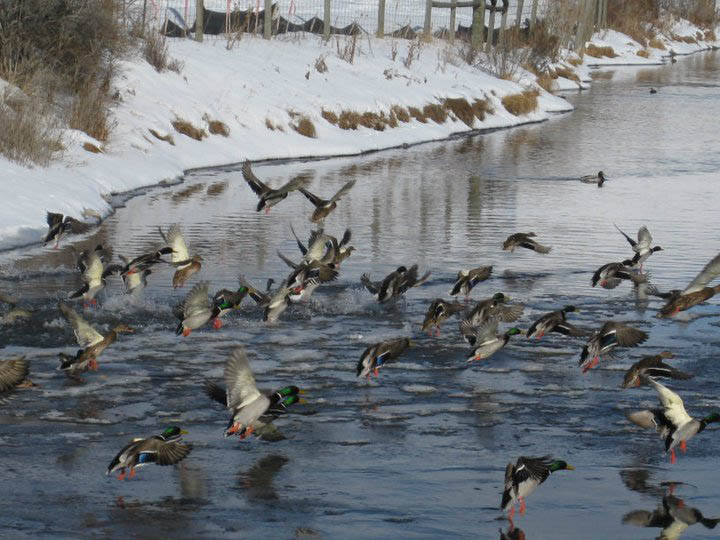 A Group Lift Off