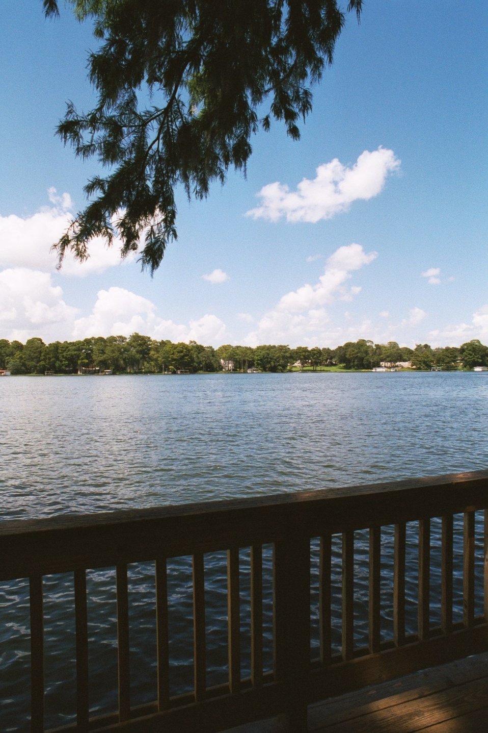 No Image Description Available