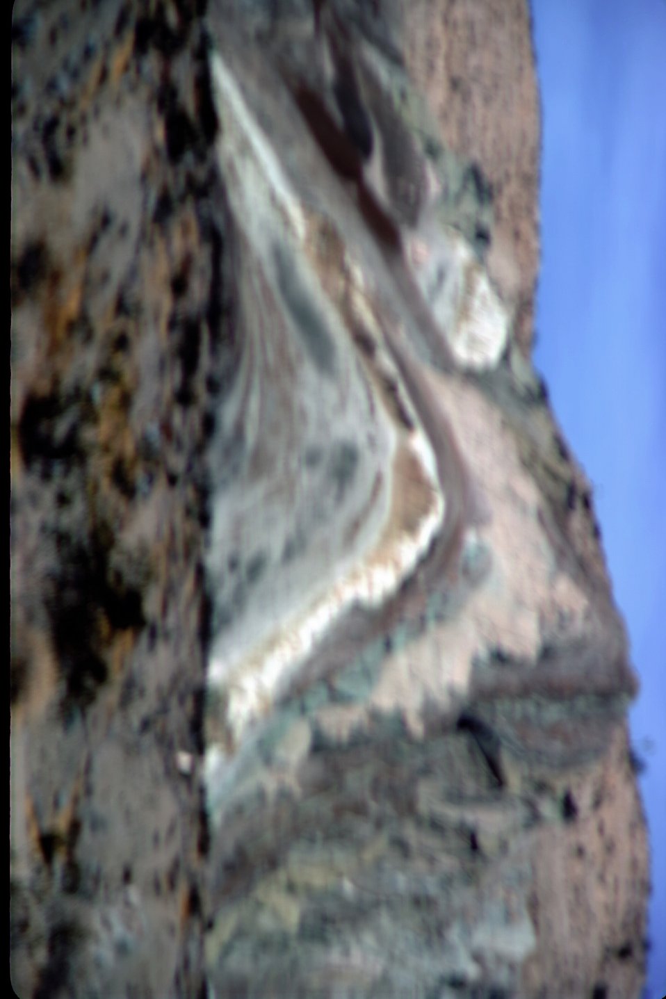 No Image Description Available