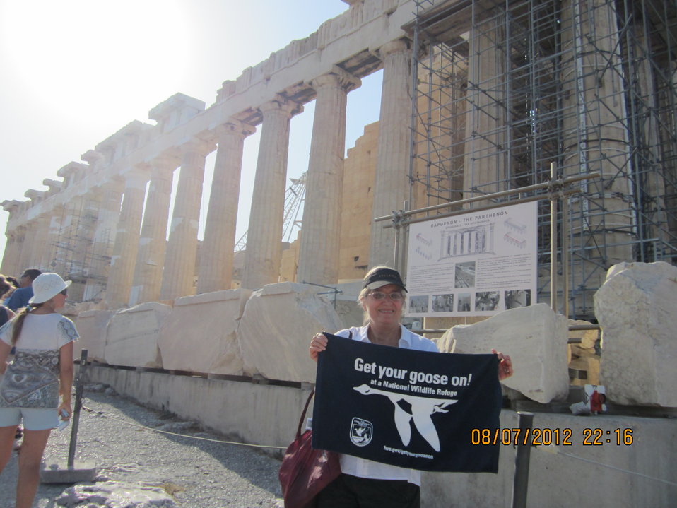 Get Your Goose On! - Parthenon Style!