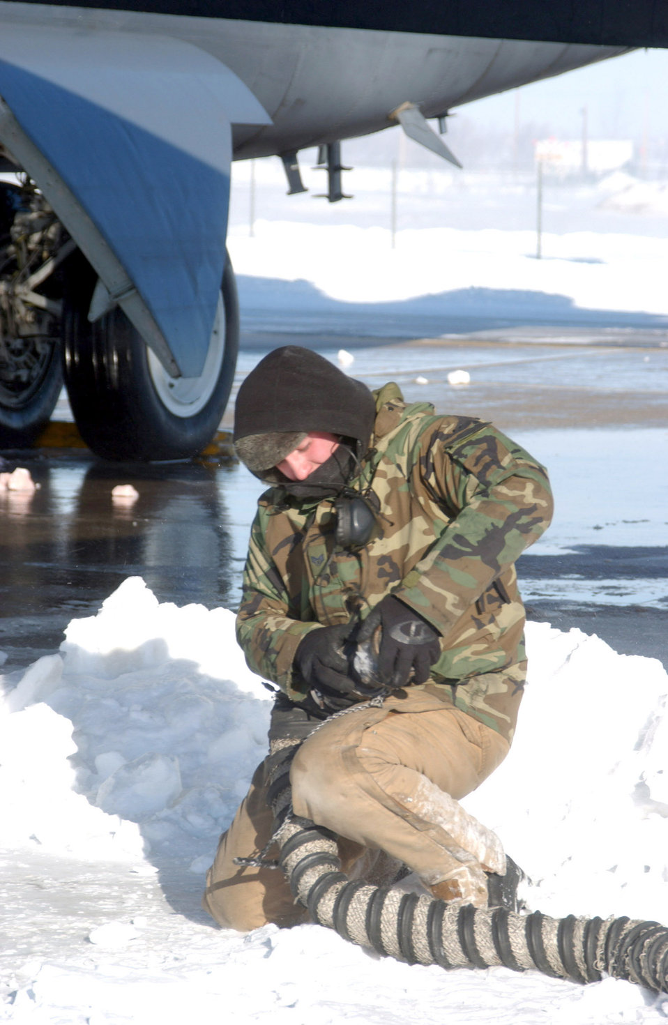 It's a 'brr-r-rrtiful' new year