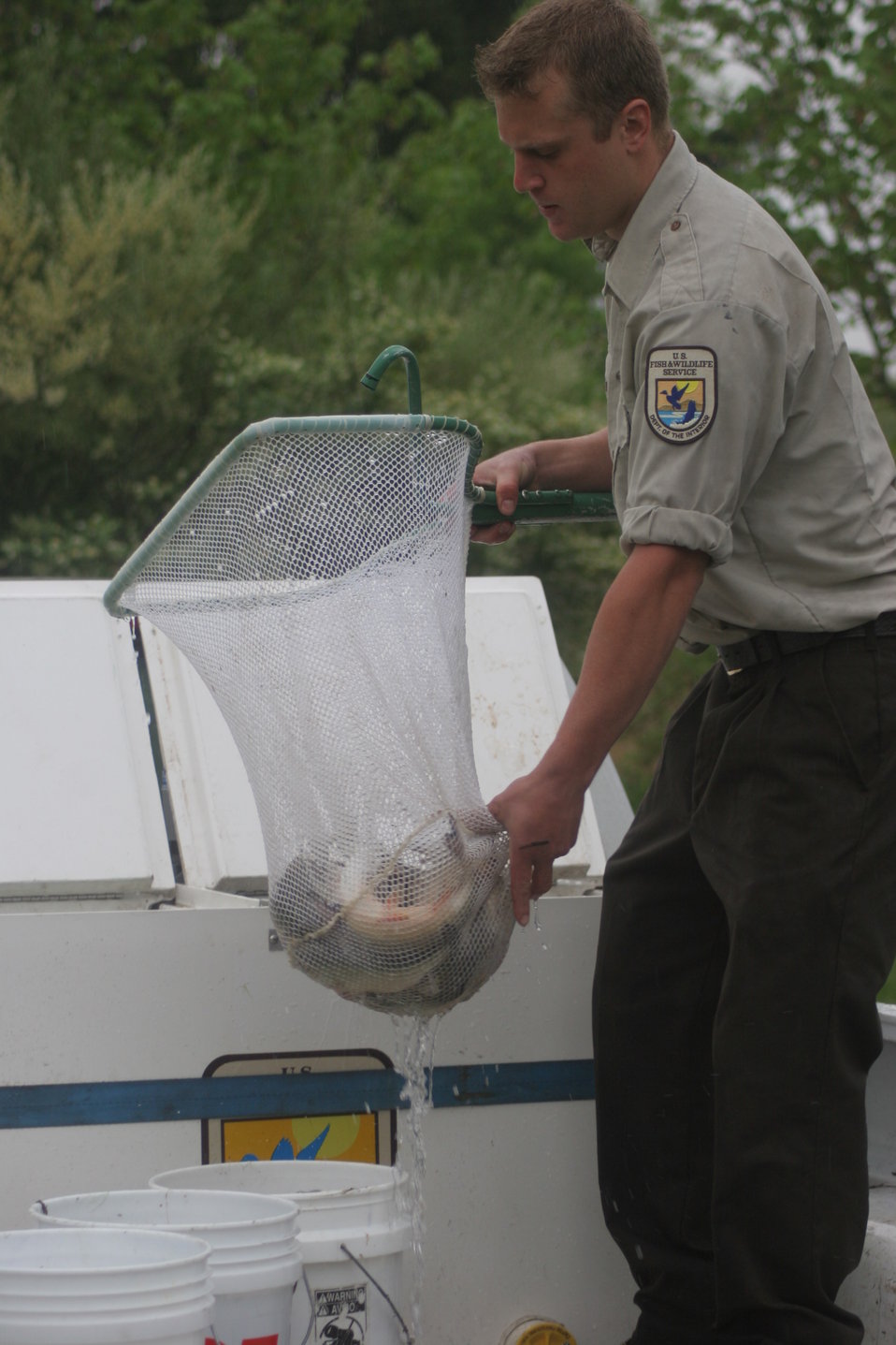 Stocking the pond