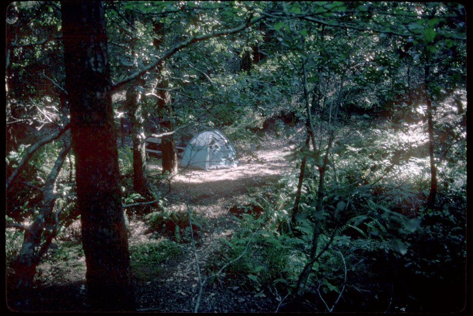 No Image Description Available