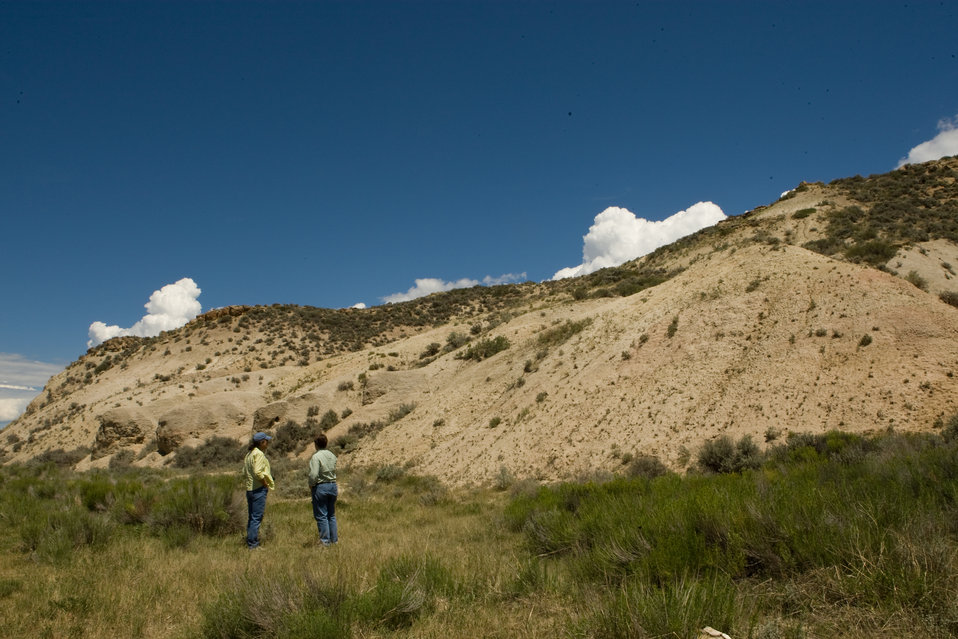 Colorado Rare Plant Conservation Initiative
