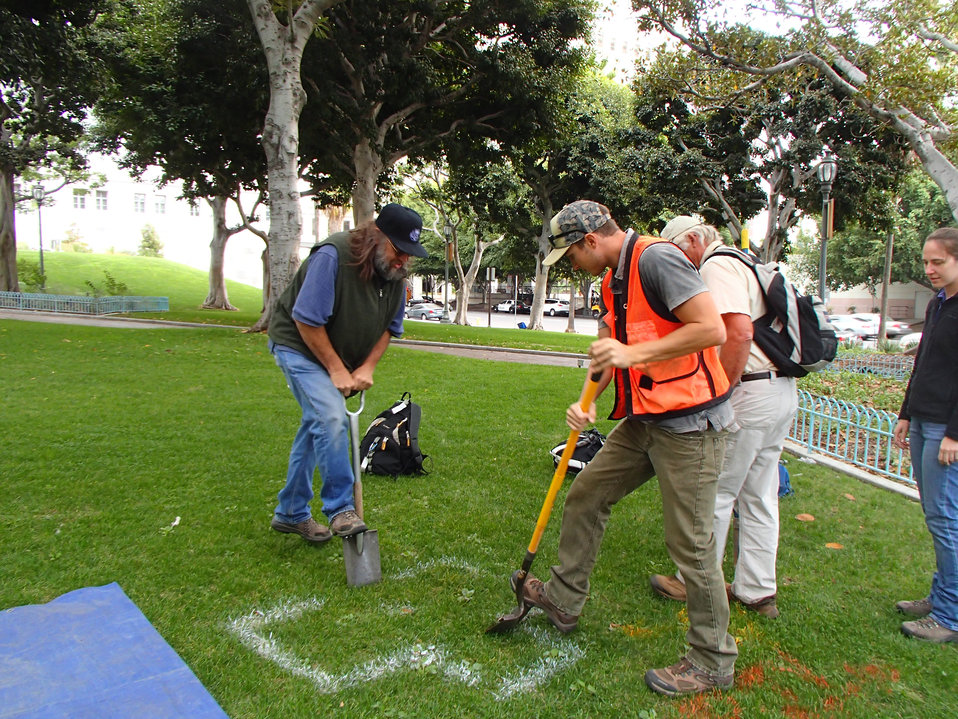 Public Domain Picture Soil Survey ID 13984785024554 PublicDomainFiles