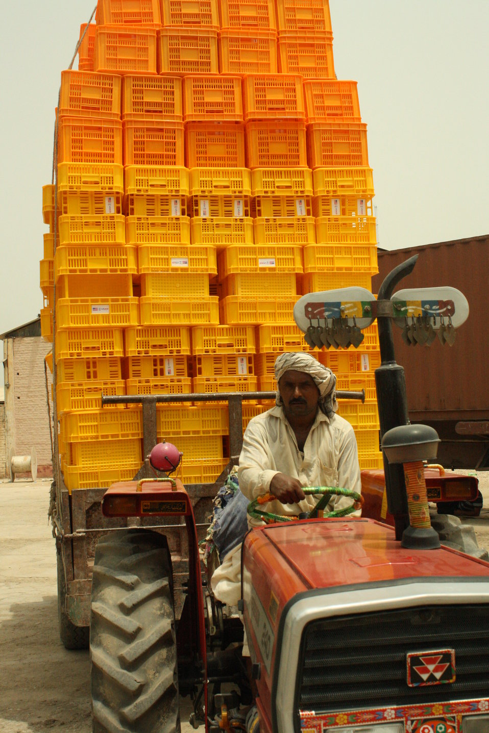 Assistance provided to date processing SMEs includes food-grade plastic crates, plastic palettes, cold stores, forklifts, metal detectors, and marketingbranding and packaging material designs.