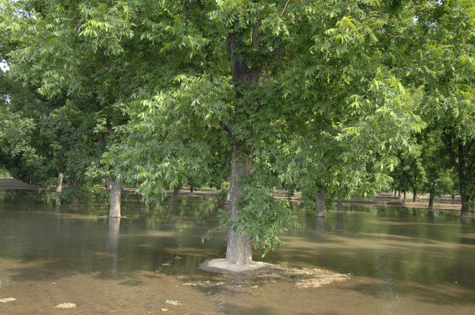 20120106-OC-AMW-0178