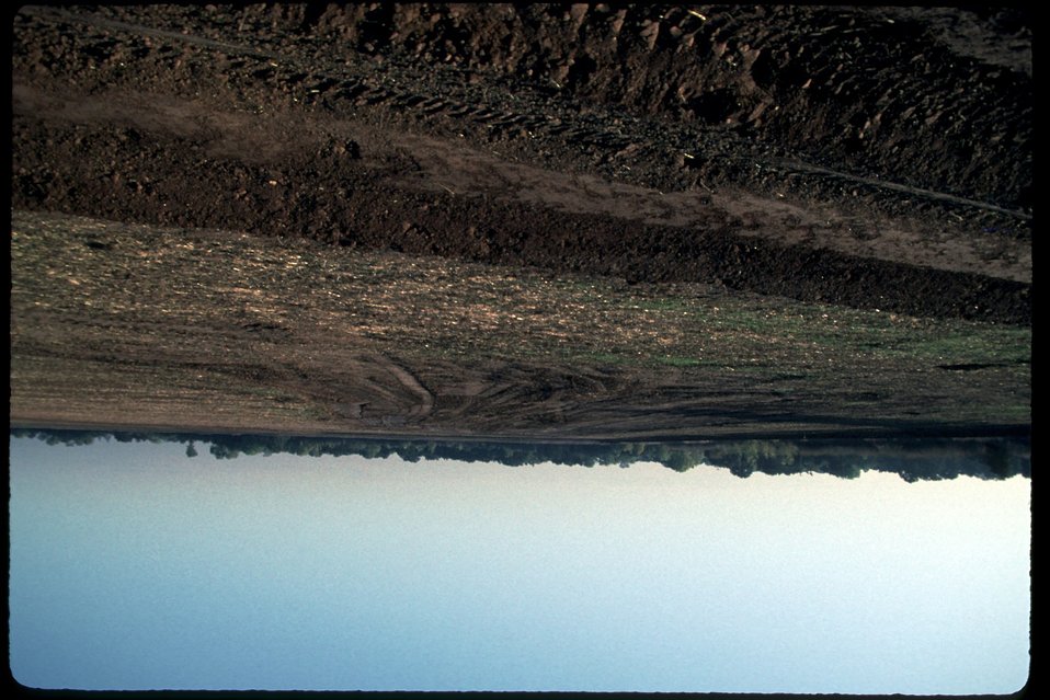 No Image Description Available