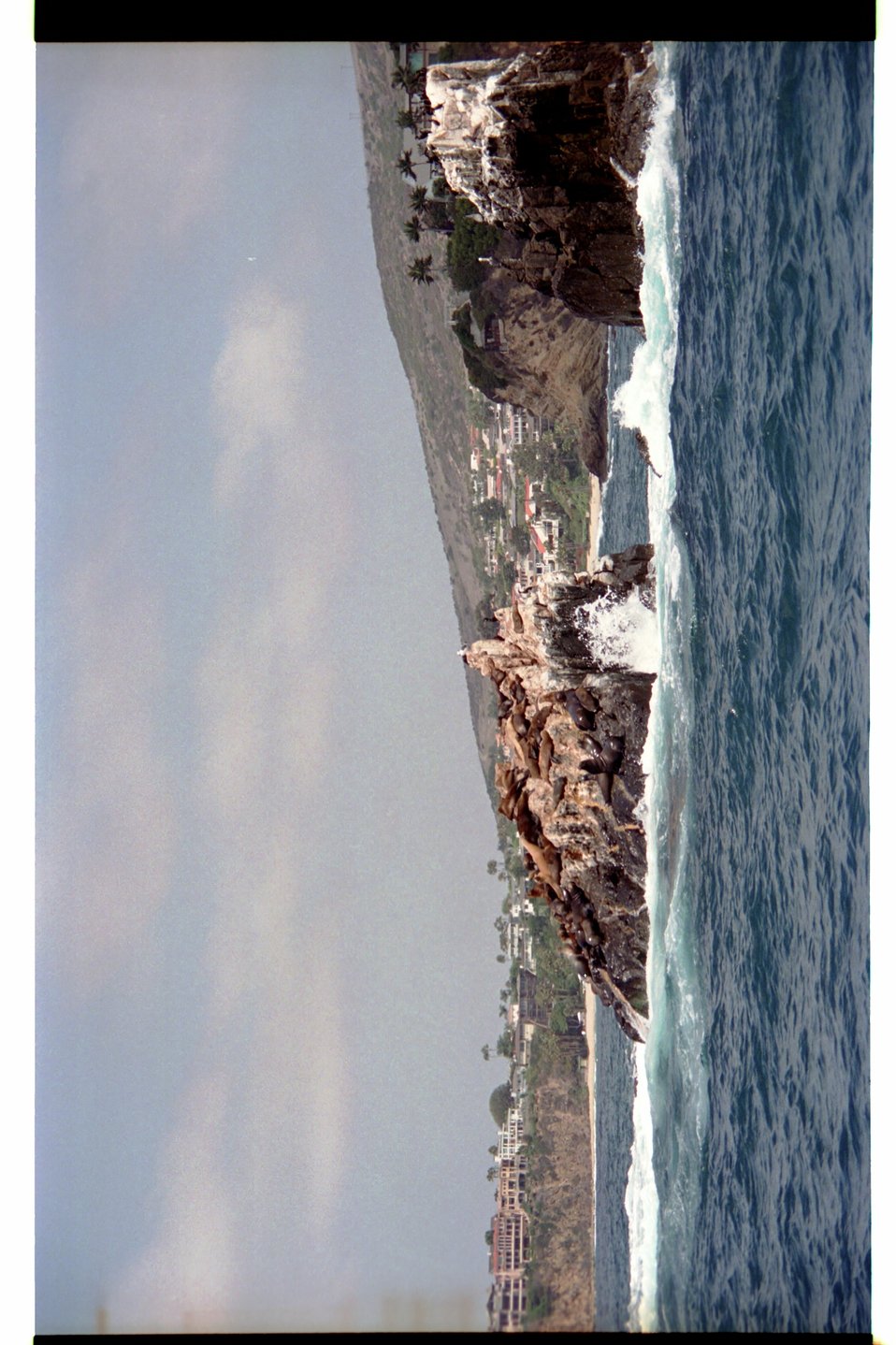 No Image Description Available