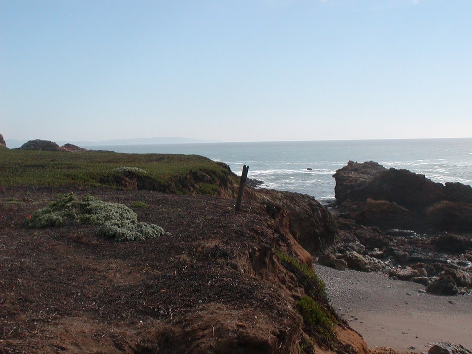 No Image Description Available