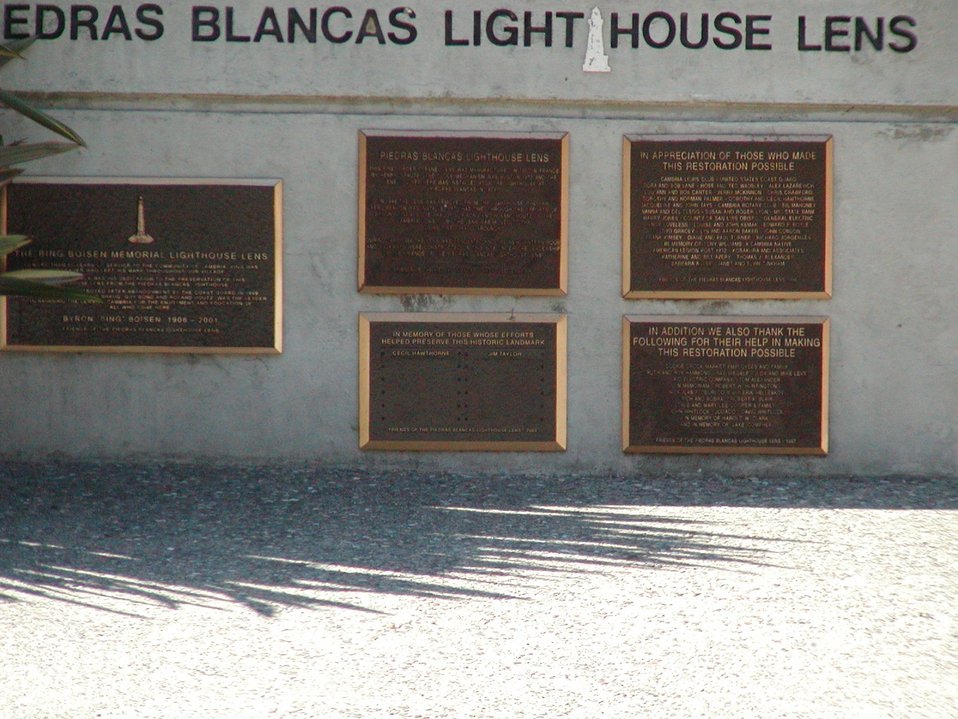 No Image Description Available