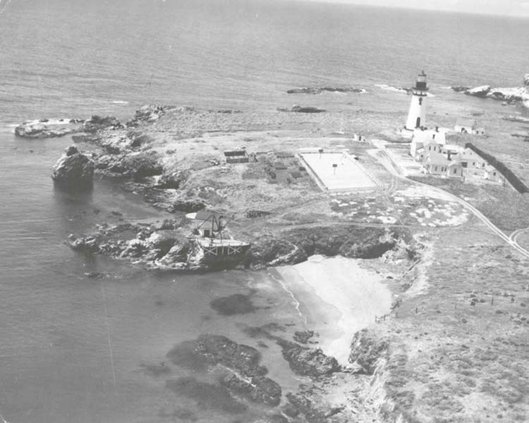 No Image Description Available