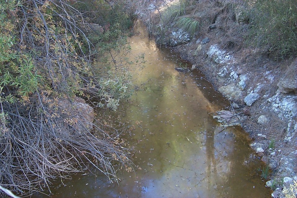 No Image Description Available