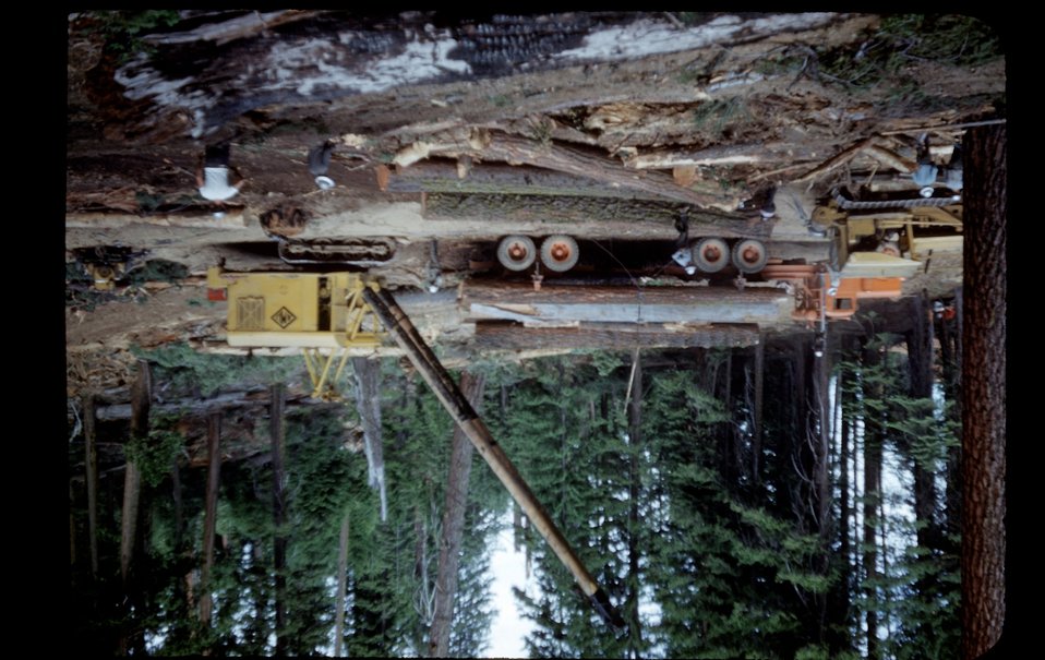 No Image Description Available