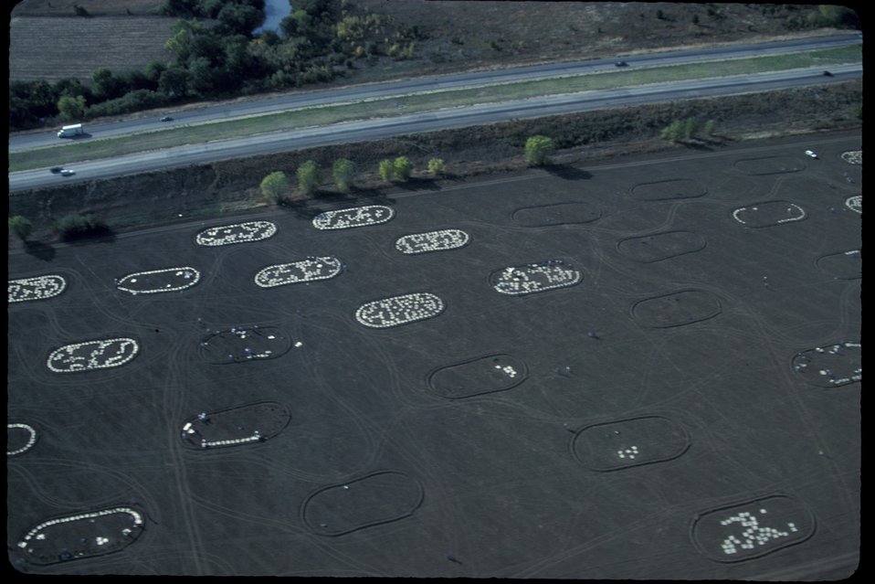 No Image Description Available