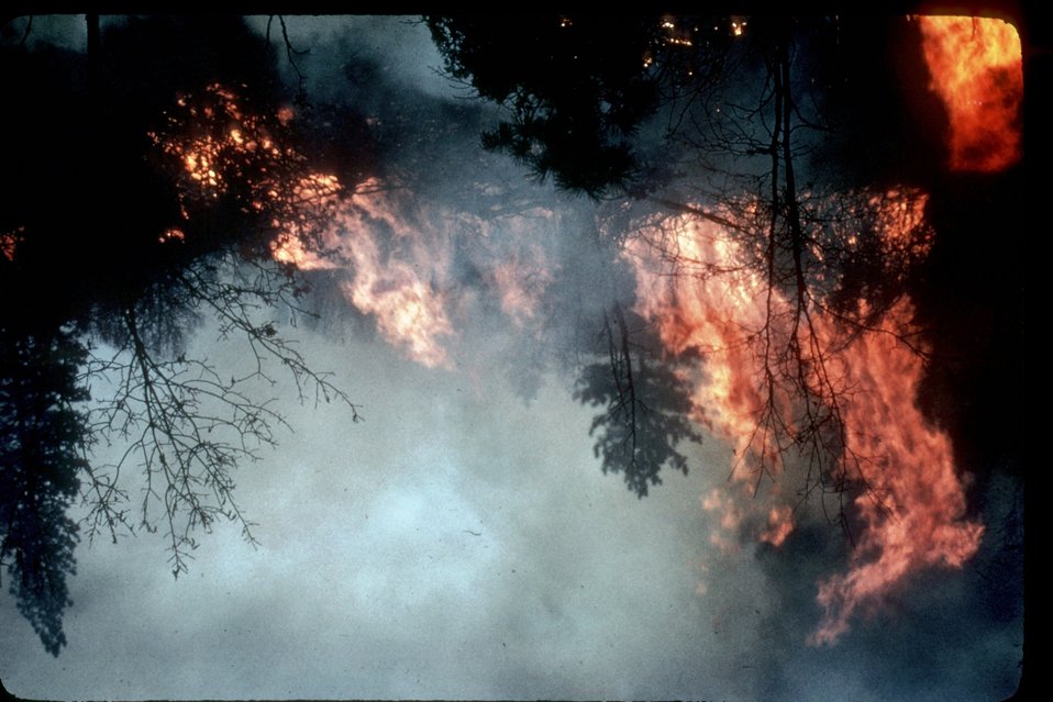 No Image Description Available