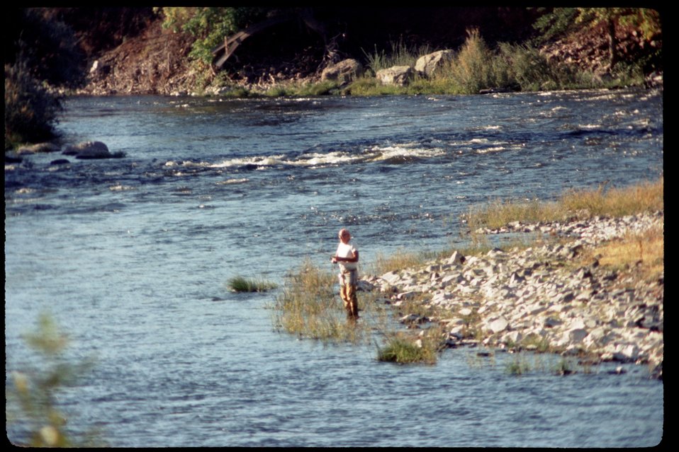 No Image Description Available