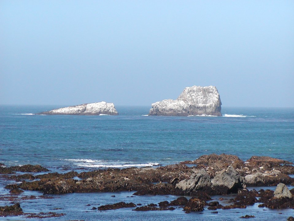 No Image Description Available