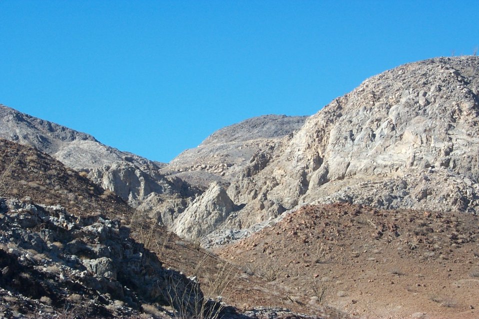 No Image Description Available