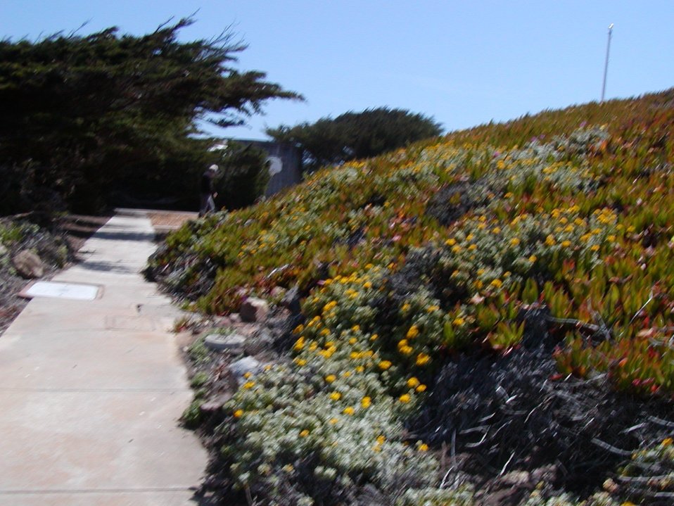 No Image Description Available