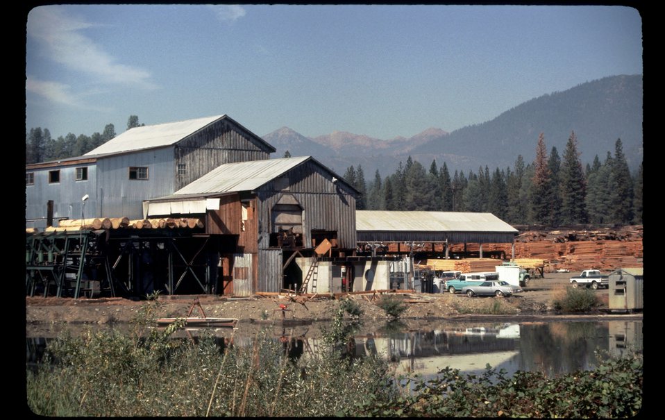 No Image Description Available