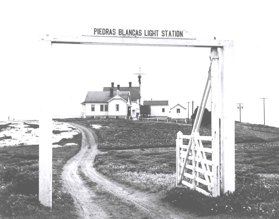 No Image Description Available