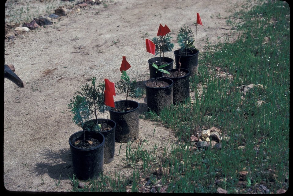 No Image Description Available