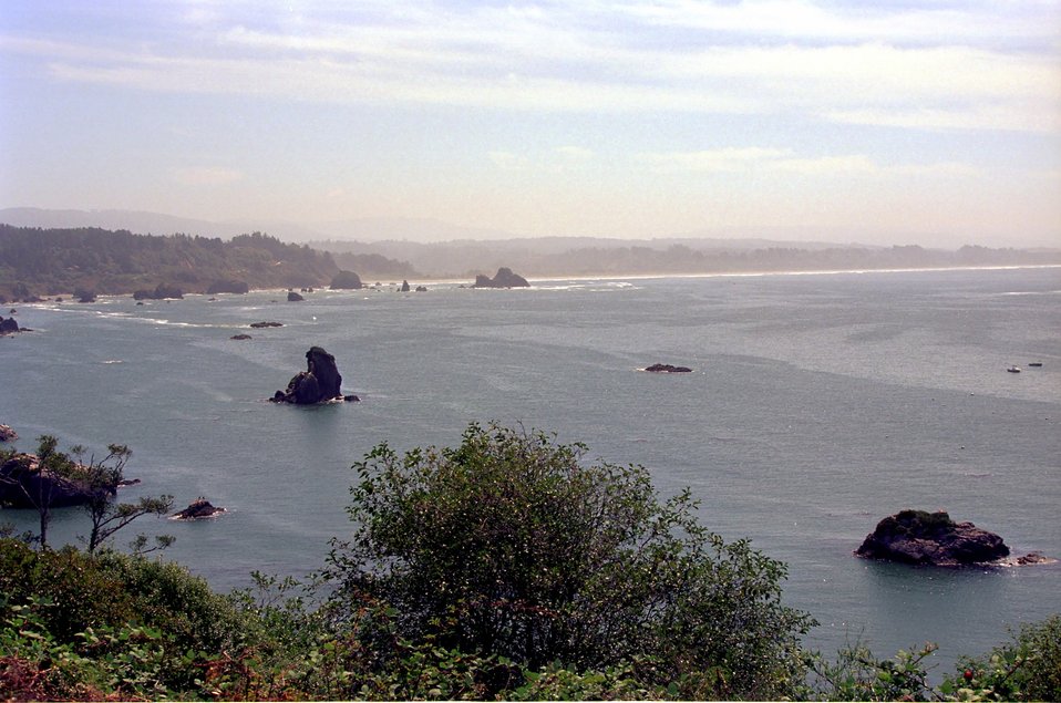 No Image Description Available