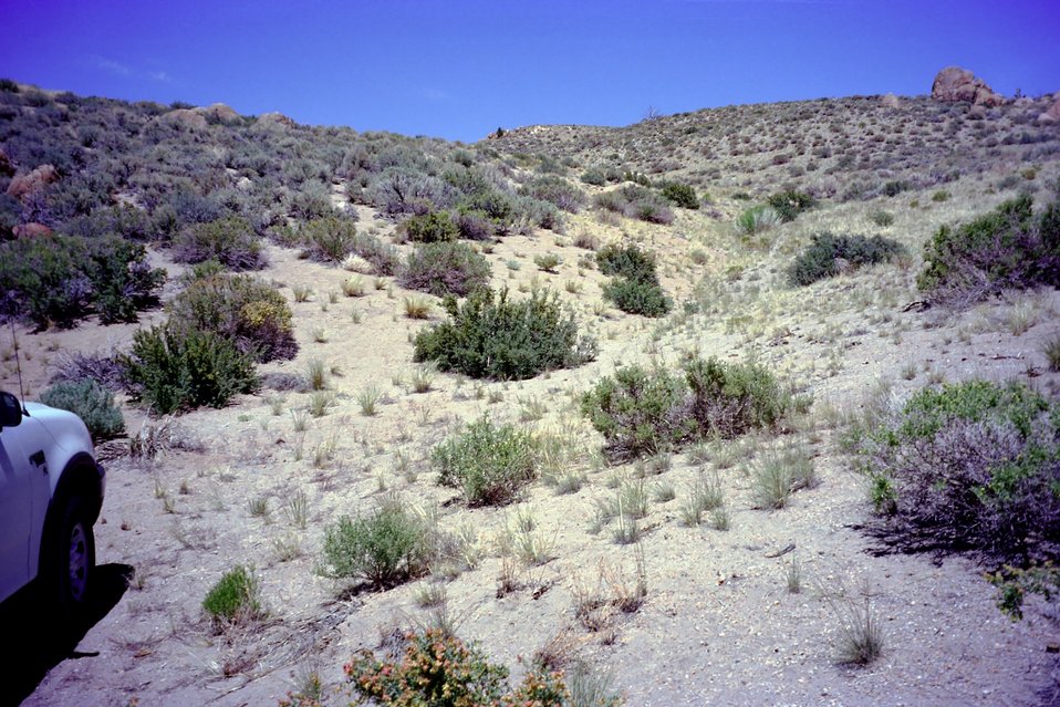 No Image Description Available