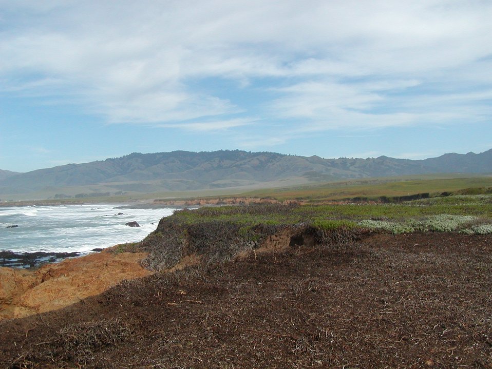 No Image Description Available