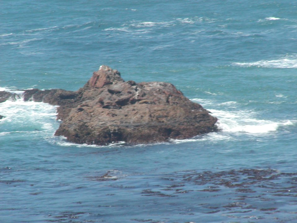 No Image Description Available