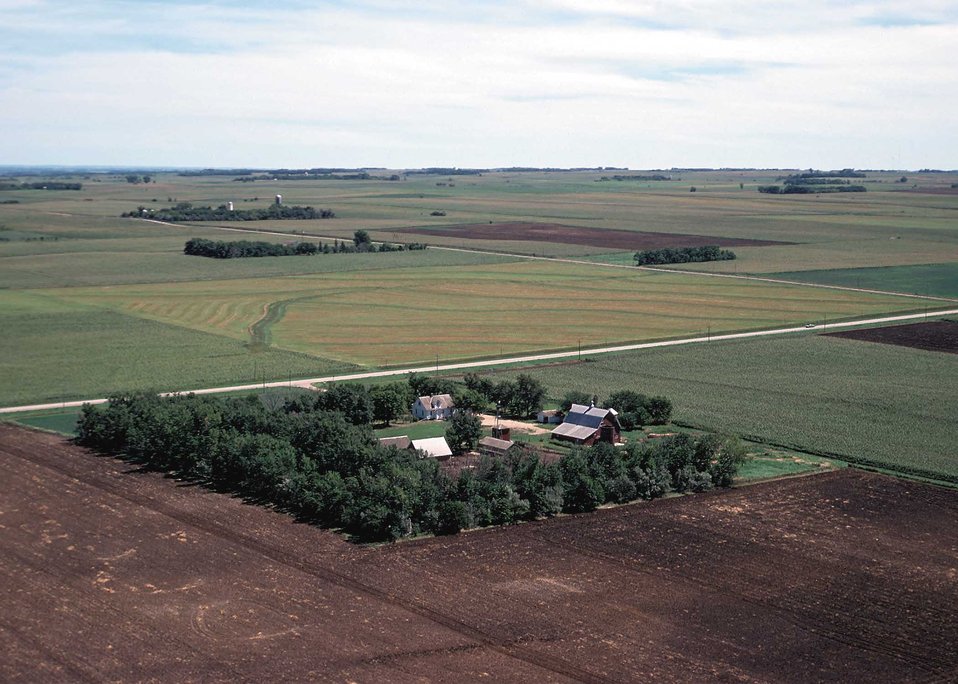 A windbreak protects this farmstead from harsh winter winds and provides habitat for wildlife.