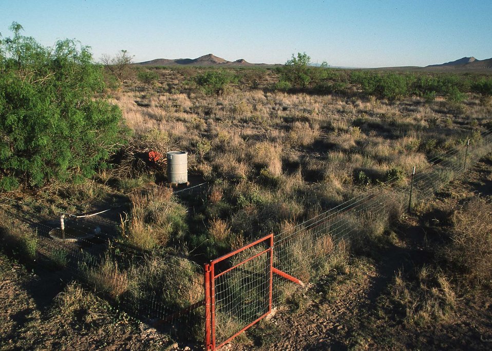 Wildlife Habitat area in rangeland in southern New Mexico.