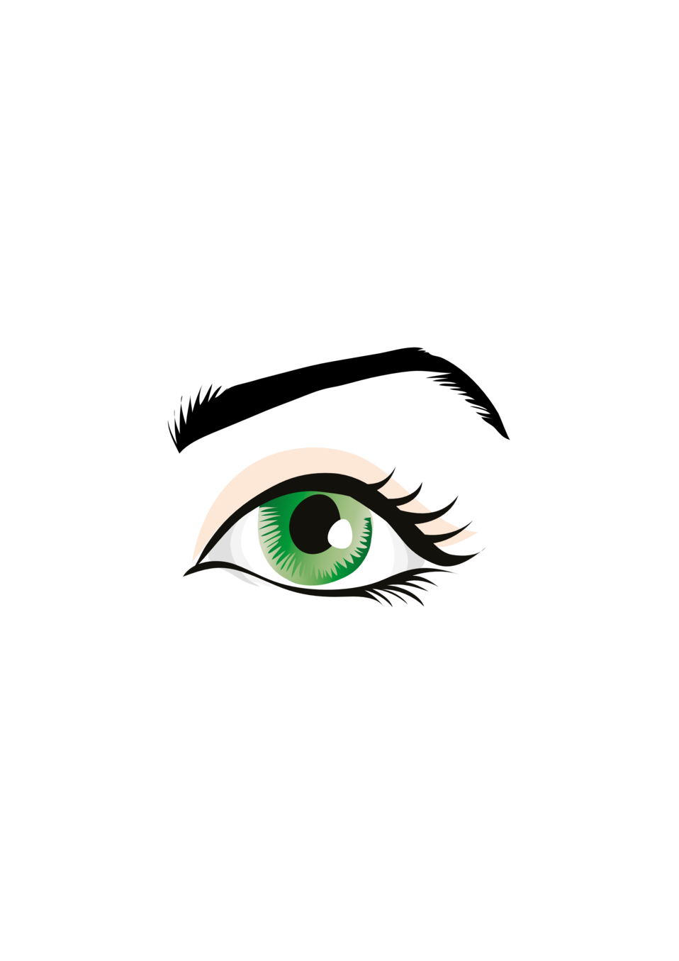 Illustration of an eye