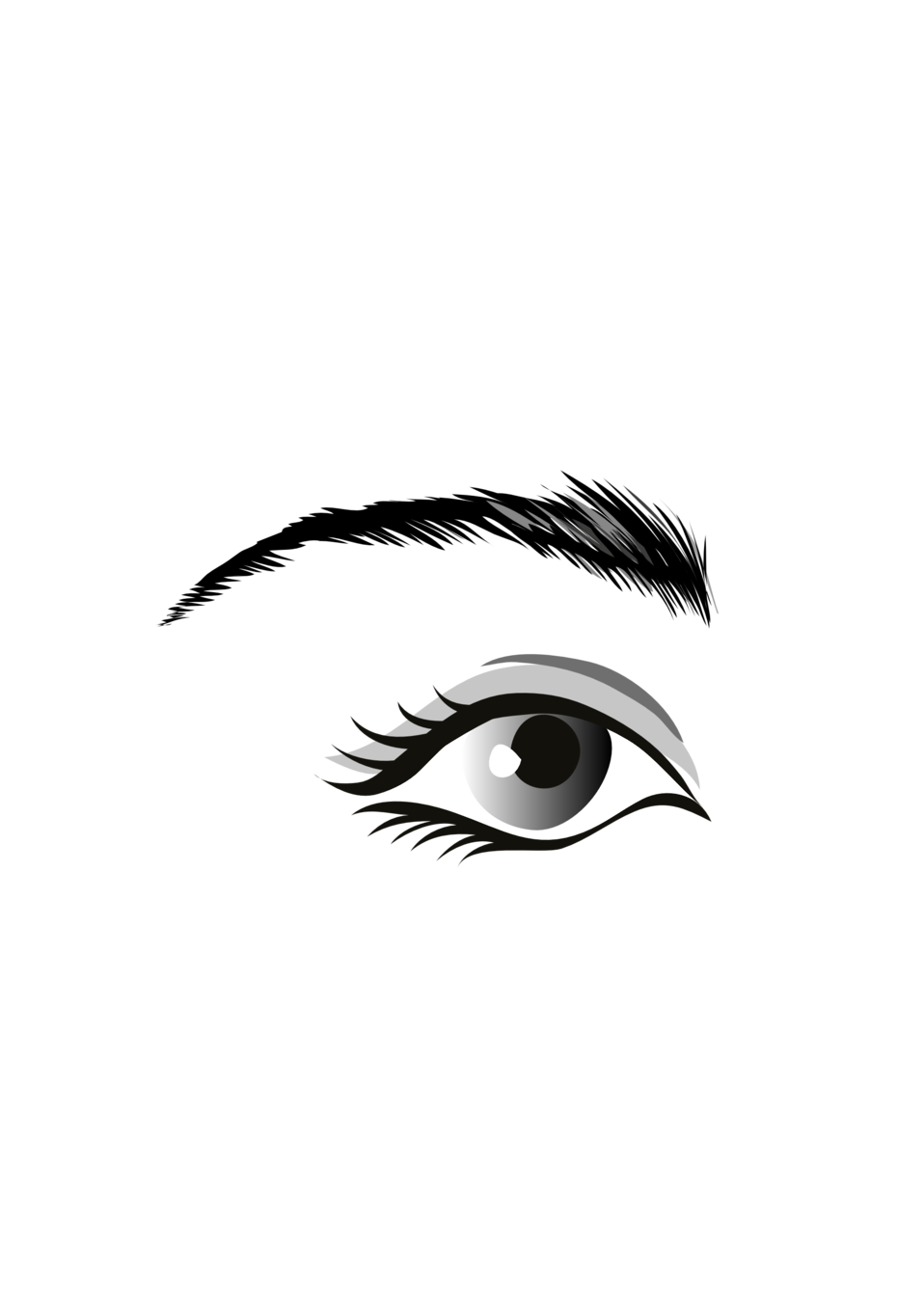 Illustration of an eye