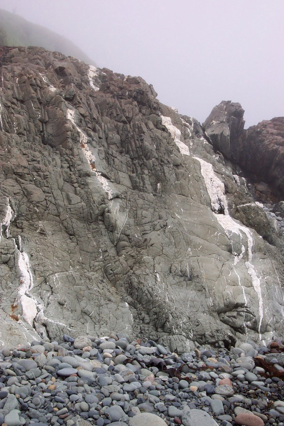  Metamorphic rocks smoothed by the surf at West Quoddy Head. 