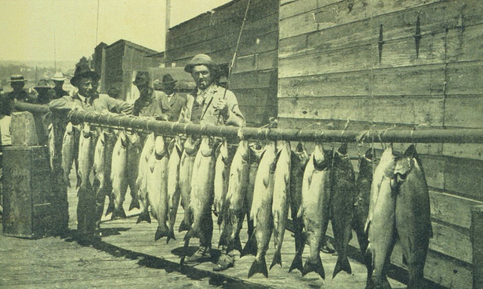  Salmon catch with rod and reel at Santa Cruz. In: 'The City of Santa Cruz and VicinityCalifornia.' Published by The Santa Cruz  Board of Trade.  1905. 