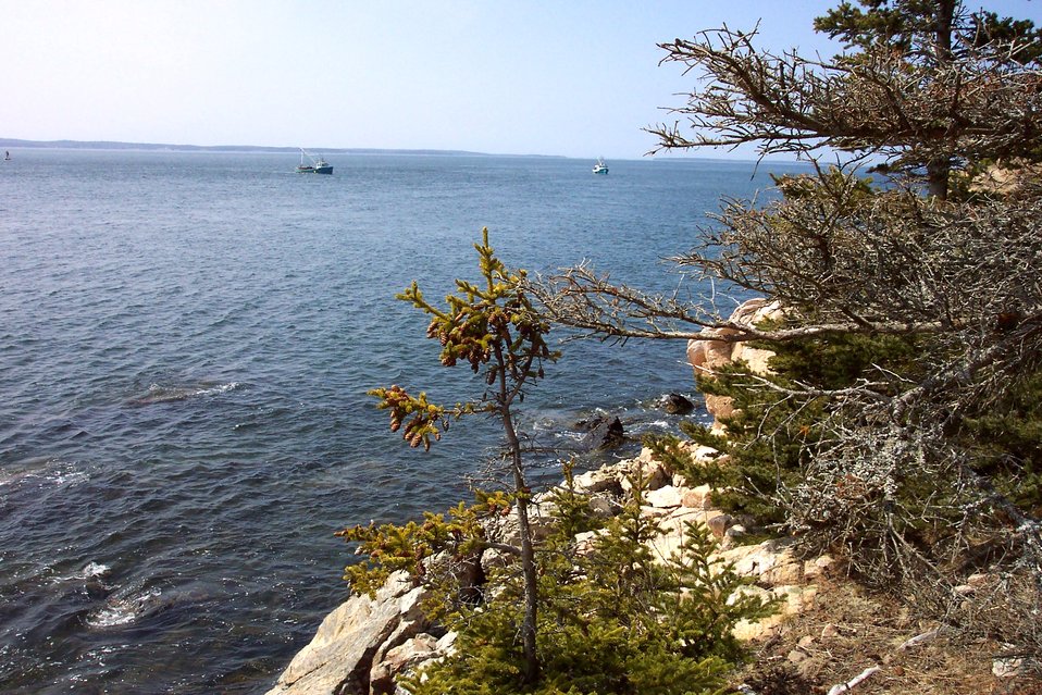  Lobster boats working off of Bass Harbor Head. 
