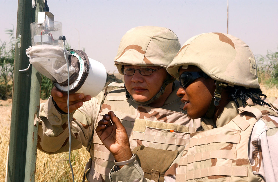 Mosquitoes in the desert?