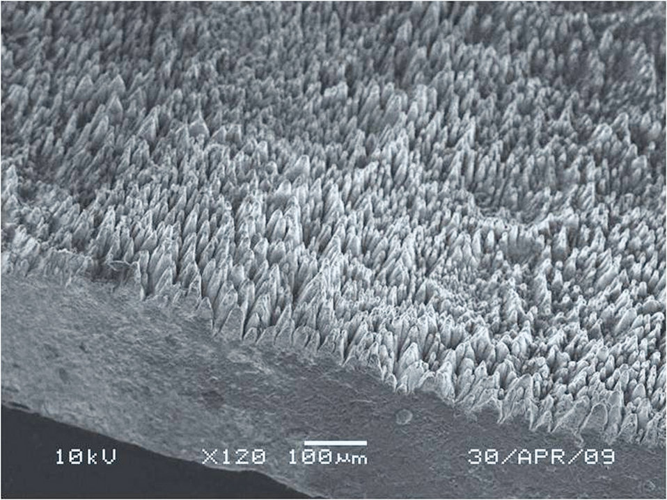 Physicists probe mystery of black silicon