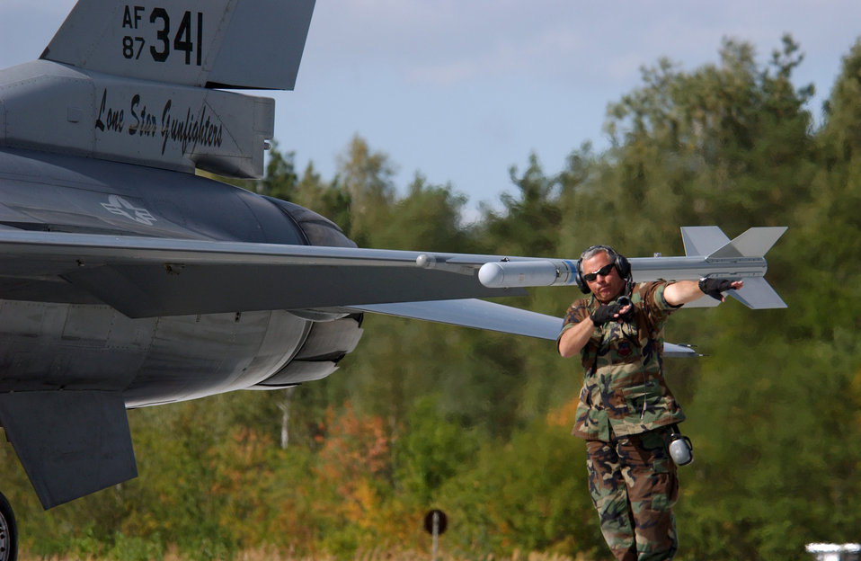 Falcons in Poland