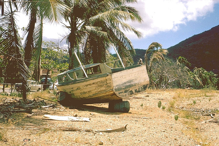 Old boat, Aedes aegypti mosquito breeding site., Virgin Islands.