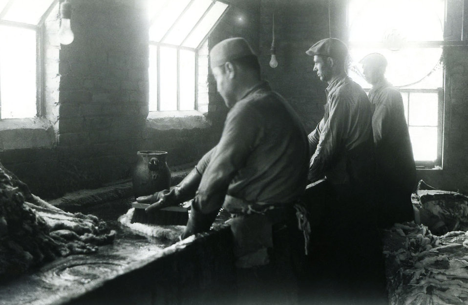 The photograph shows workers "carroting", or treating the fur with mercury nitrate, Hg(NO3)2, in a felt hat-making factory where p