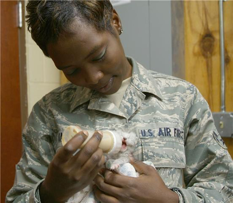 Airmen rescue kittens inside wall